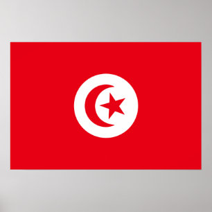 Affiche Drapeau de Tunisie