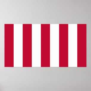 Affiche Drapeau Des Fils De La Liberté 9 Des États-Unis