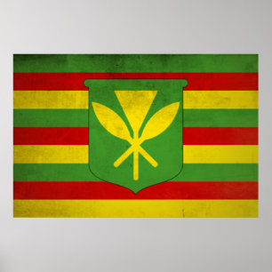 Affiche Drapeau des Hawaïens autochtones