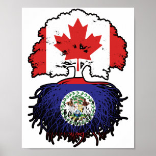 Affiche Drapeau des racines d'arbre du Canada bélizien can