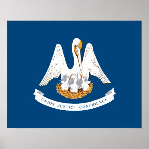 Affiche Drapeau d'État de Louisiane