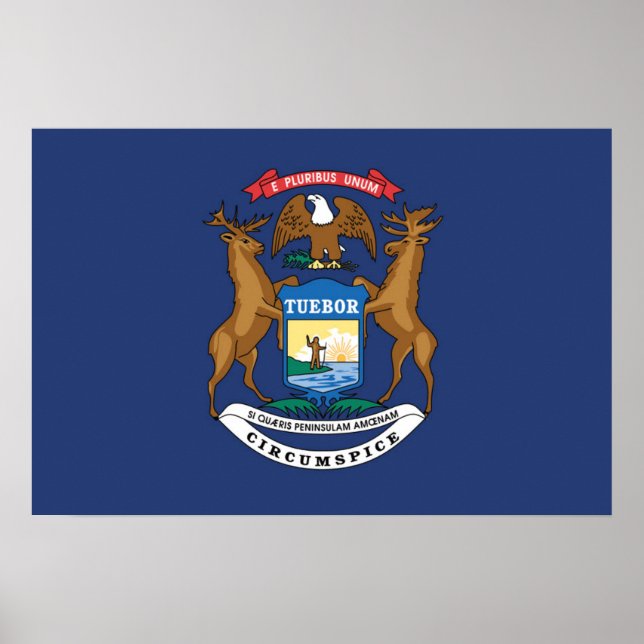 Affiche Drapeau d'État du Michigan, États-Unis (Devant)