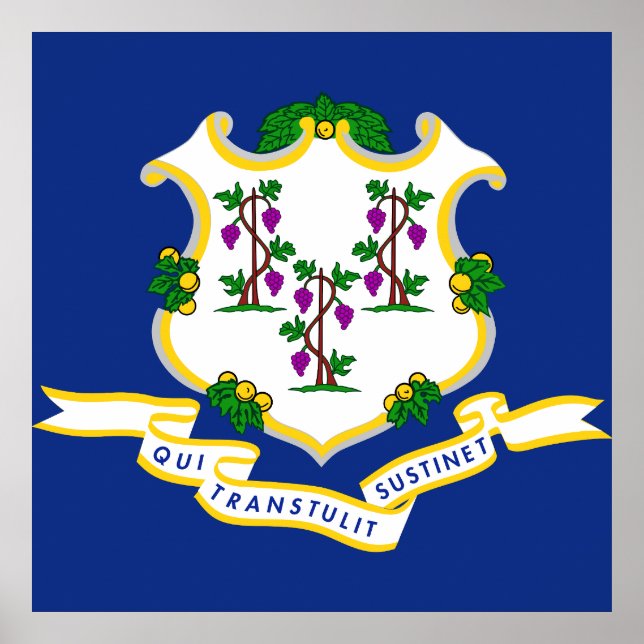 Affiche Drapeau du Connecticut (Devant)