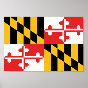 Affiche Drapeau du Maryland