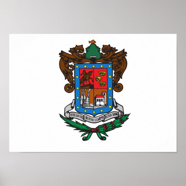 Affiche Drapeau du Michoacan (Devant)