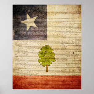 Affiche Drapeau du Mississippi 1861