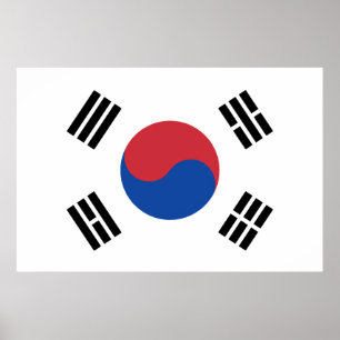 Affiche Drapeau du Sud