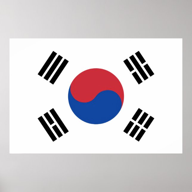 Affiche Drapeau du Sud (Devant)