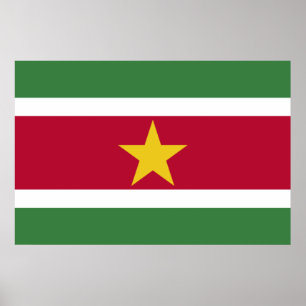 Affiche Drapeau du Suriname