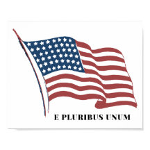Drapeau E Pluribus Unum Patriotic U.S.