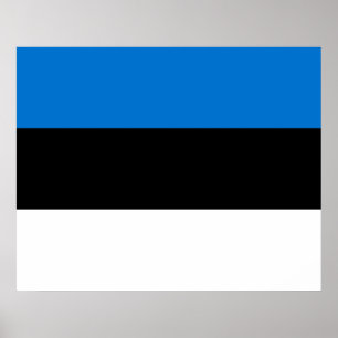 Affiche Drapeau estonien