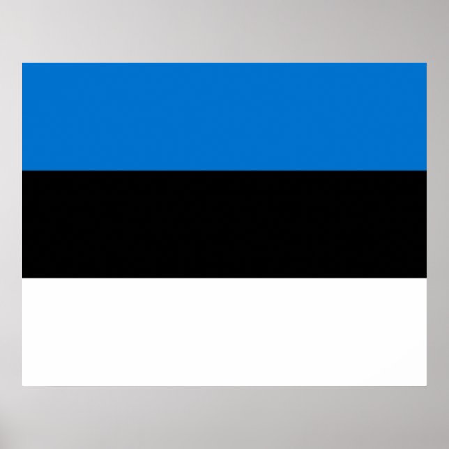 Affiche Drapeau estonien (Devant)