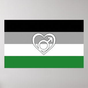 Affiche Drapeau et symbole de fierté androphile