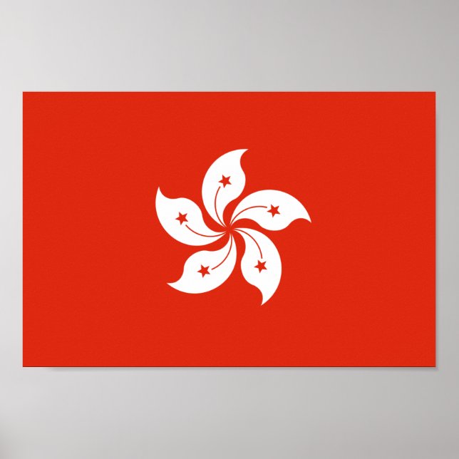 Affiche Drapeau HK de Hong Kong Bauhinia Blakeana (Devant)