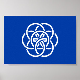 Affiche Drapeau international de la planète Terre