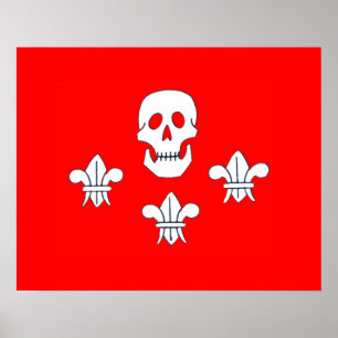 AFFICHE DRAPEAU JOLLY ROGER CRÂNE ET TROIS LILAS
