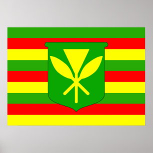 Affiche Drapeau Kanaka Maoli