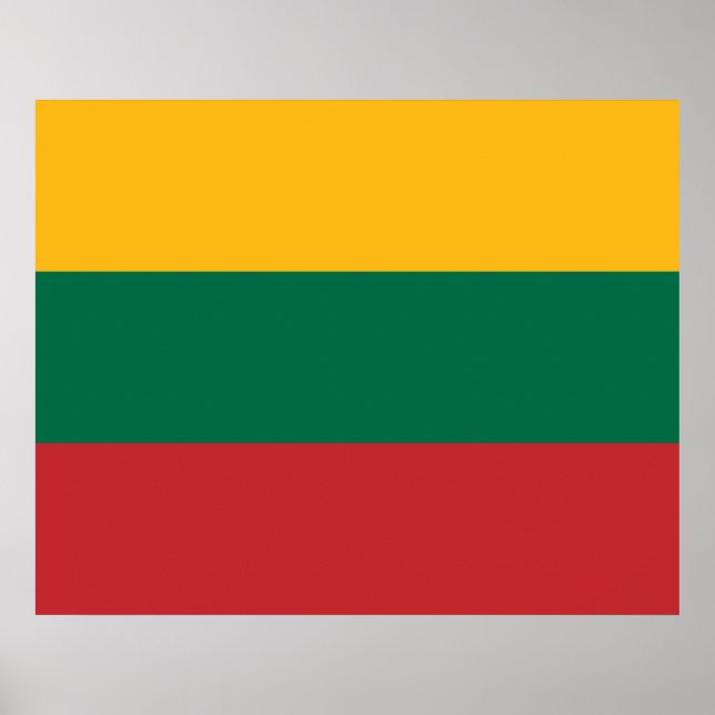 Affiche Drapeau lituanien (Devant)