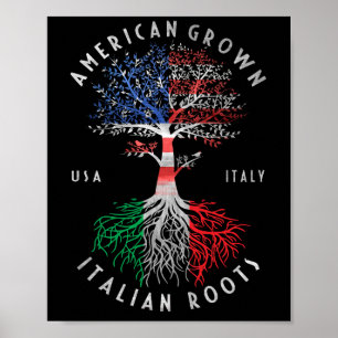 Affiche Drapeau national italien de l'Amérique Cultivé R