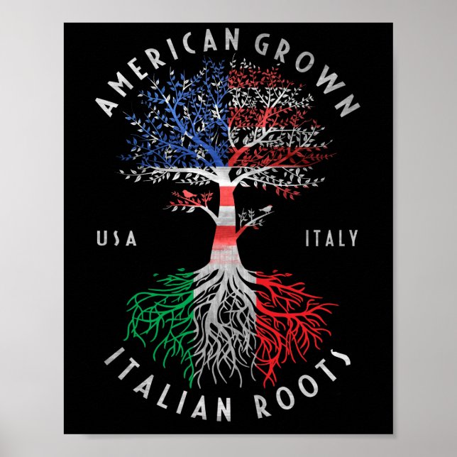 Affiche Drapeau national italien de l'Amérique Cultivé rac (Devant)