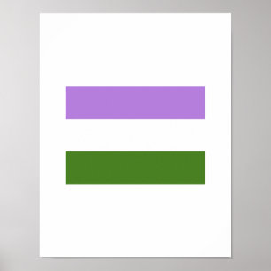 AFFICHE DRAPEAU OFFICIEL DE FIERTÉ DE GENDERQUEER
