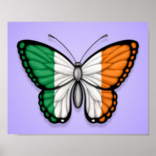 Affiche Drapeau papillon irlandais sur violet