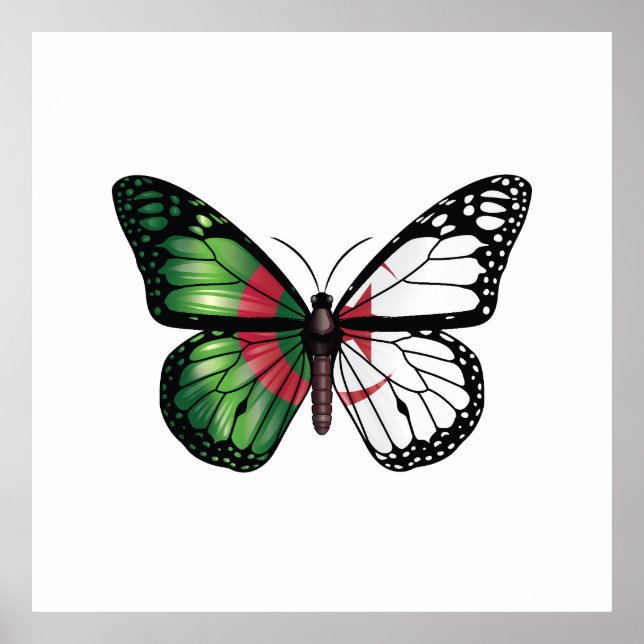 Affiche Drapeau papillon monarque d'Algérie (Devant)