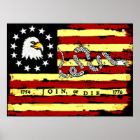 Drapeau révolutionnaire américain