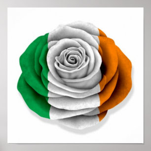 Affiche Drapeau rose d'Irlandais sur le blanc