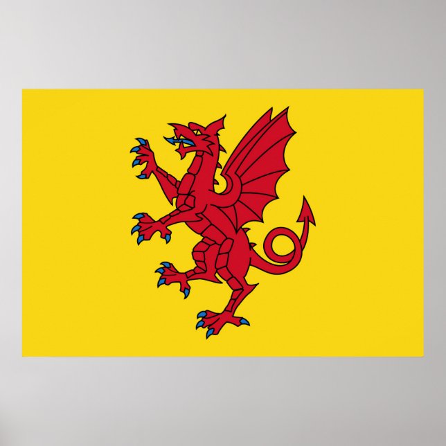 Affiche Drapeau Somerset Angleterre symbole de dragon (Devant)