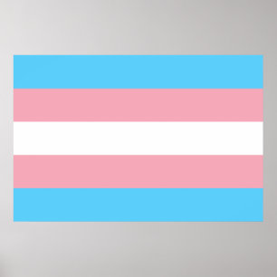 Affiche Drapeau transgenre trans pride symbole LGBT homo g