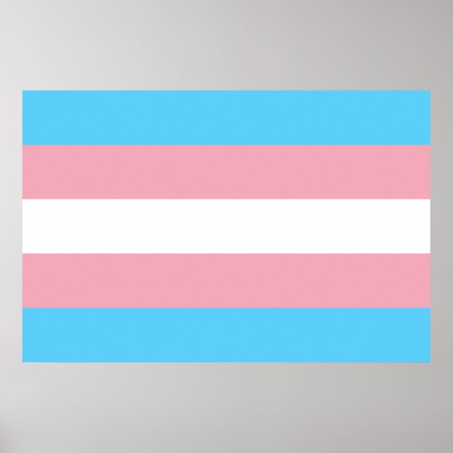 Affiche Drapeau transgenre trans pride symbole LGBT homo g (Devant)