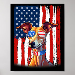 Affiche Drapeau Usa Amérique Italian Greyhound Chien 4 Jui