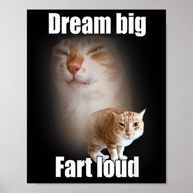 Affiche Dream Big Fart Loud Cat Meme Funny Saying  (Devant)