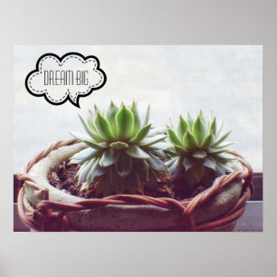 Affiche Dream Big Phrase Succulent