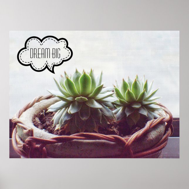 Affiche Dream Big Phrase Succulent (Devant)