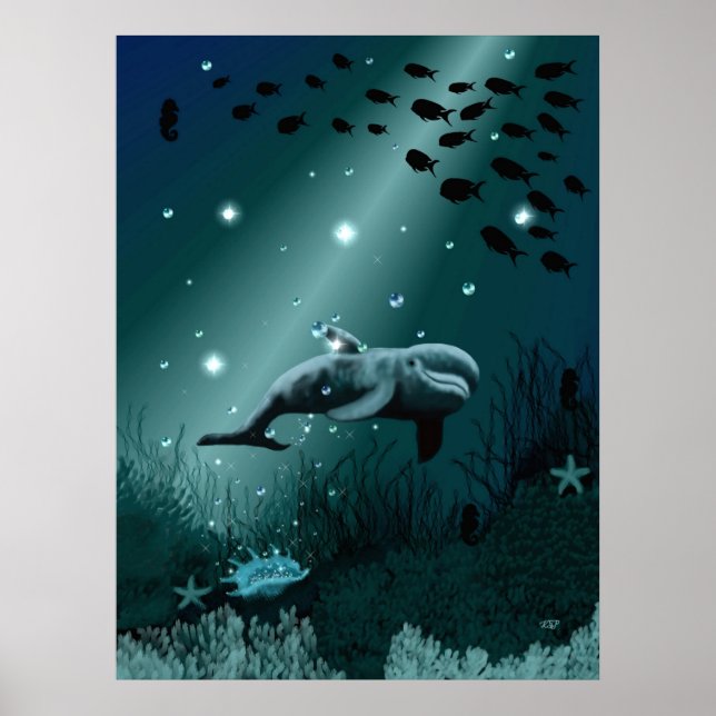 Affiche Dream dauphin (Devant)