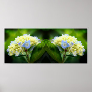Affiche Dreamy Blue Hydrangea Flower Mirror Abstrait