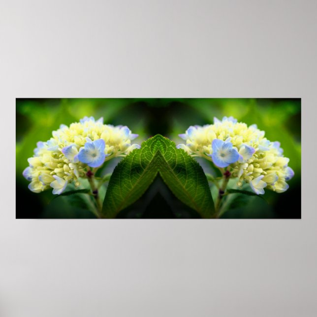 Affiche Dreamy Blue Hydrangea Flower Mirror Abstrait (Devant)