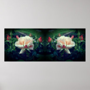 Affiche Dreamy Peach Rose Et Buds Mirror Abstrait