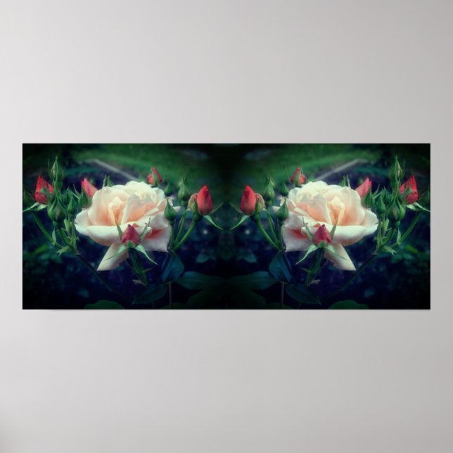 Affiche Dreamy Peach Rose Et Buds Mirror Abstrait (Devant)
