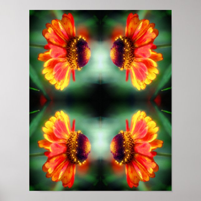 Affiche Dreamy Zinnia Flower Art Abstrait (Devant)
