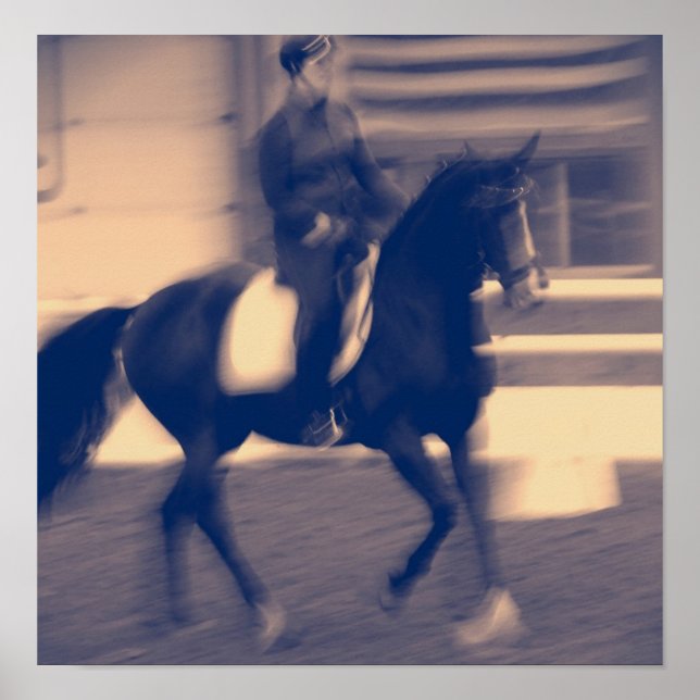 Affiche Dressage (Devant)