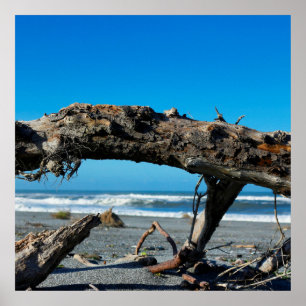 Affiche Driftwood Coast Beach Nature Photo