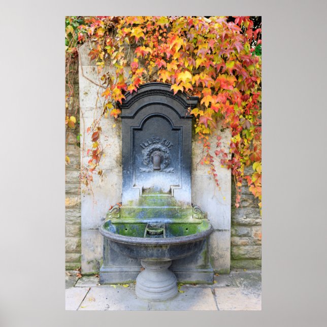 Affiche Drinking fountain in fall, Hungary (Devant)