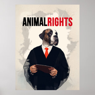 Affiche Droits des animaux