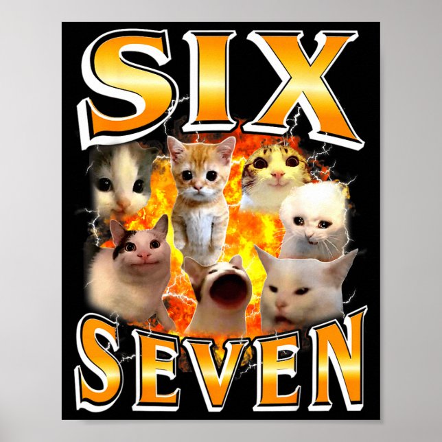 Affiche Drôle 67 Mème Six Sept Chat Mème Drôle Bootleg Gra (Devant)
