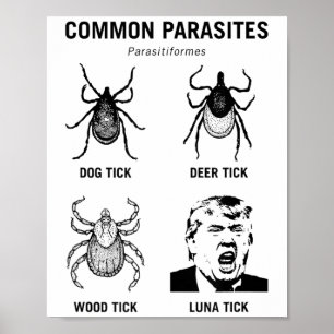 Affiche Drôle anti-Trump Parasite commun Luna Tick