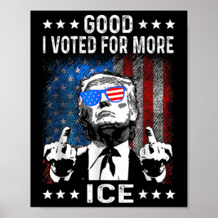 Affiche Drôle Bon J'ai Voté Pour Plus De Glace Patriotique
