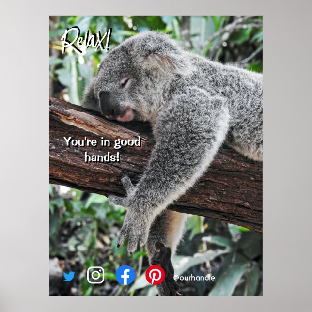 Affiche drôle carte postale immobilier détendu koala (Devant)